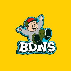 BDNS