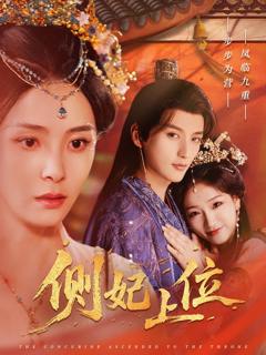 《侧妃上位》