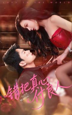 《错把真心付良人》