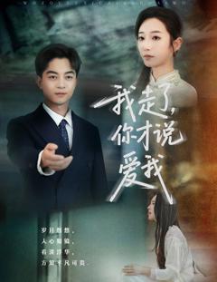 《我走了你才说爱我》