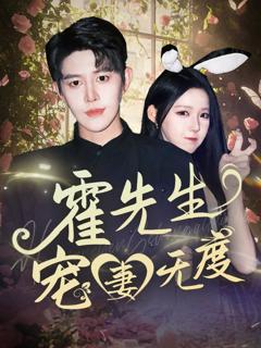 《霍先生宠妻无度》