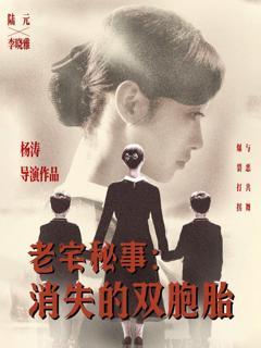 老宅秘事消失的双胞胎（消失的孩子）