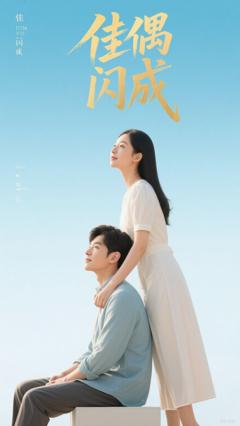 佳偶闪成（假婚真爱）