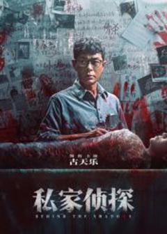 私家侦探