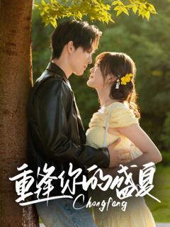 《重逢你的盛夏》