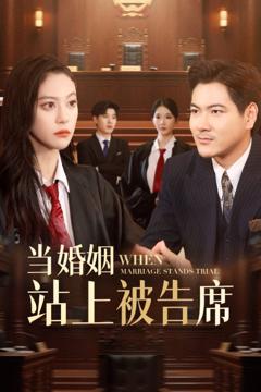 《当婚姻站上被告席》