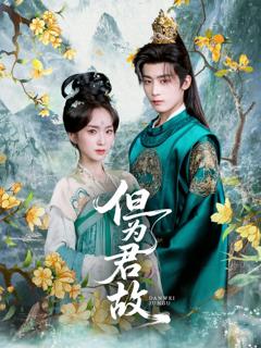 《但为君故》