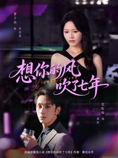 《想你的风吹了七年》