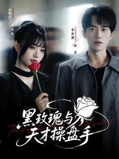 《黑玫瑰与天才操盘手》