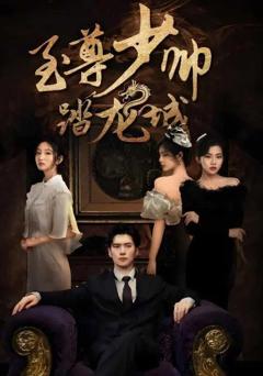 《至尊少帅踏龙城》