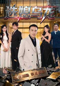 《选媳乌龙》