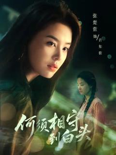 《何须相守到白头》