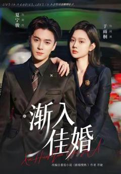 《渐入佳婚》