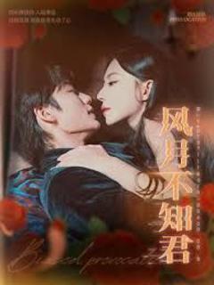 《风月不知君》