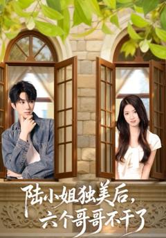 《陆小姐独美后六个哥哥不干了》