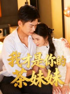 《我才是你的茶妹妹》