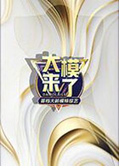 《大模来了》