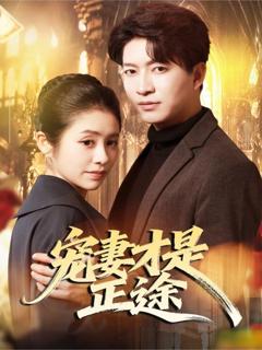 《宠妻才是正途》