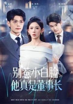 《别惹小白脸，他真是董事长》