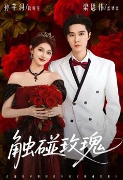 触碰玫瑰（凌晨四点半，玫瑰花未眠）