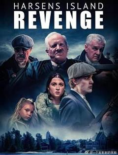 哈森斯岛复仇