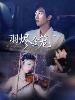 《羽烬金笼》
