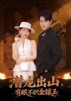 潜龙出山有眼不识金镶玉