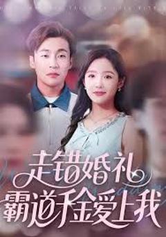 走错婚礼霸道千金爱上我