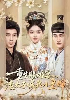 重生赐婚宴，渣太子喊我小皇婶