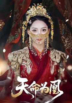 天命医凰
