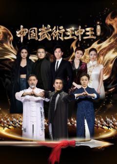 《中国武术王中王第二季》
