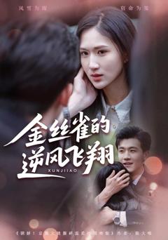 《金丝雀的逆风飞翔》