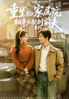 《重生80家属院，相亲匹配到前夫》