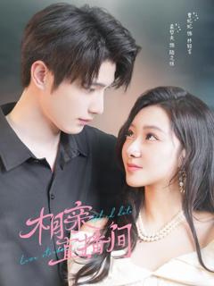 《相亲直播间》