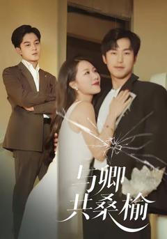 《与卿共桑榆》