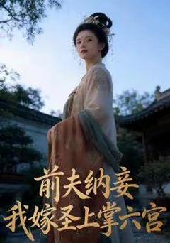 《前夫纳妾，我嫁圣上掌六宫》