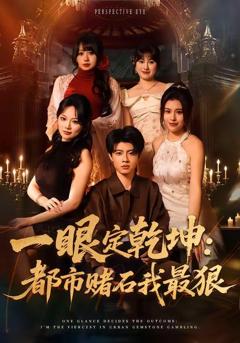 《一眼定乾坤：都市赌石我最狠》