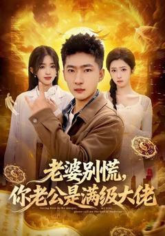 《老婆别慌，你老公是满级大佬》