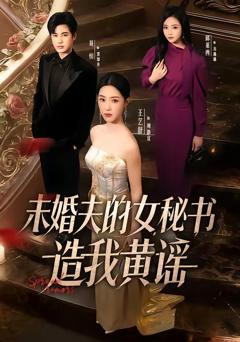 《未婚夫的女秘书造我黄谣》