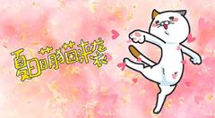 《DHC良子喵》
