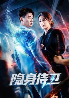 《隐身侍卫》