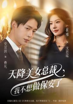 天降美女总裁，我不想做保安了