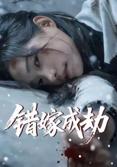 《错嫁成劫》
