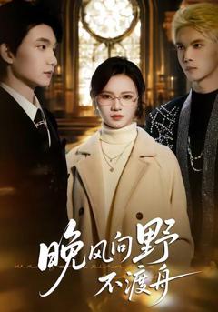 《晚风向野不渡舟》