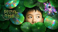 《阿望的奇妙旅途》