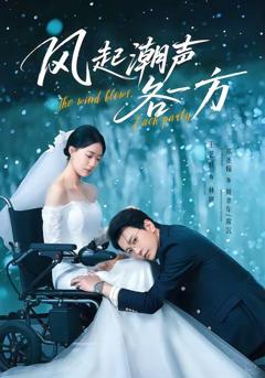 《风起潮声各一方》