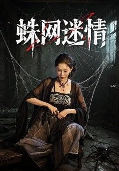 《蛛网迷情》