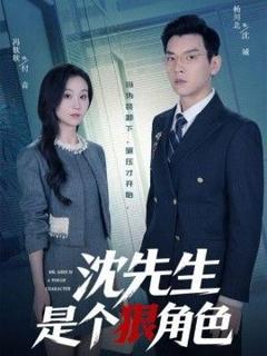 《沈先生是个狠角色》