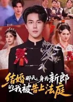 《结婚那天，身为新郎的我被告上法庭》