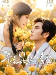 《予你玫瑰与青松》